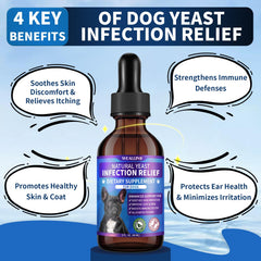 WEALLIN dog yeast drops with a close view of the liquid.