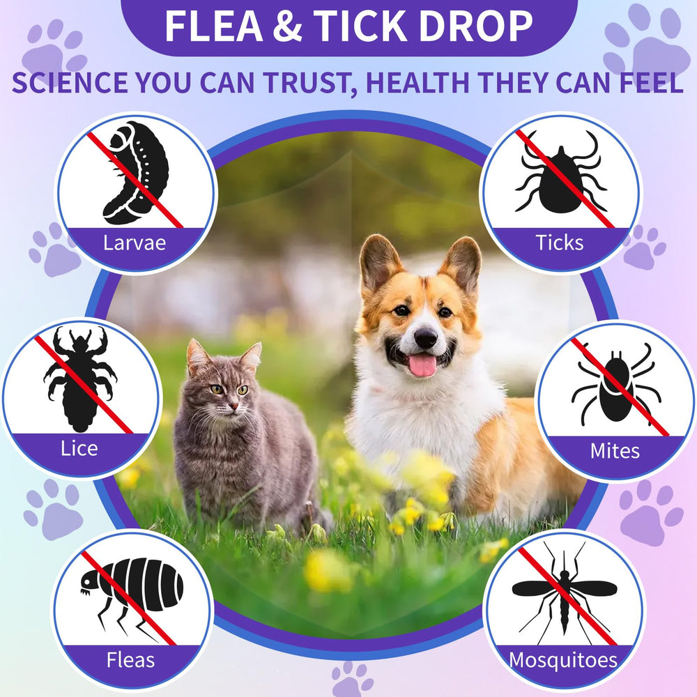 WEALLIN flea and tick support drops graduated dropper for measuring doses.