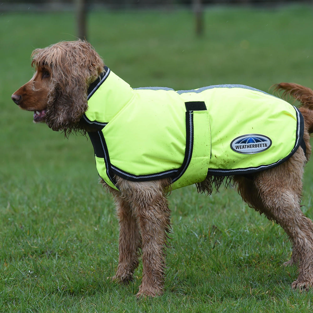 WeatherBeeta dog coat close-up showing the 300 denier outer.