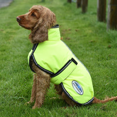 WeatherBeeta dog coat detail showing its reflective feature.