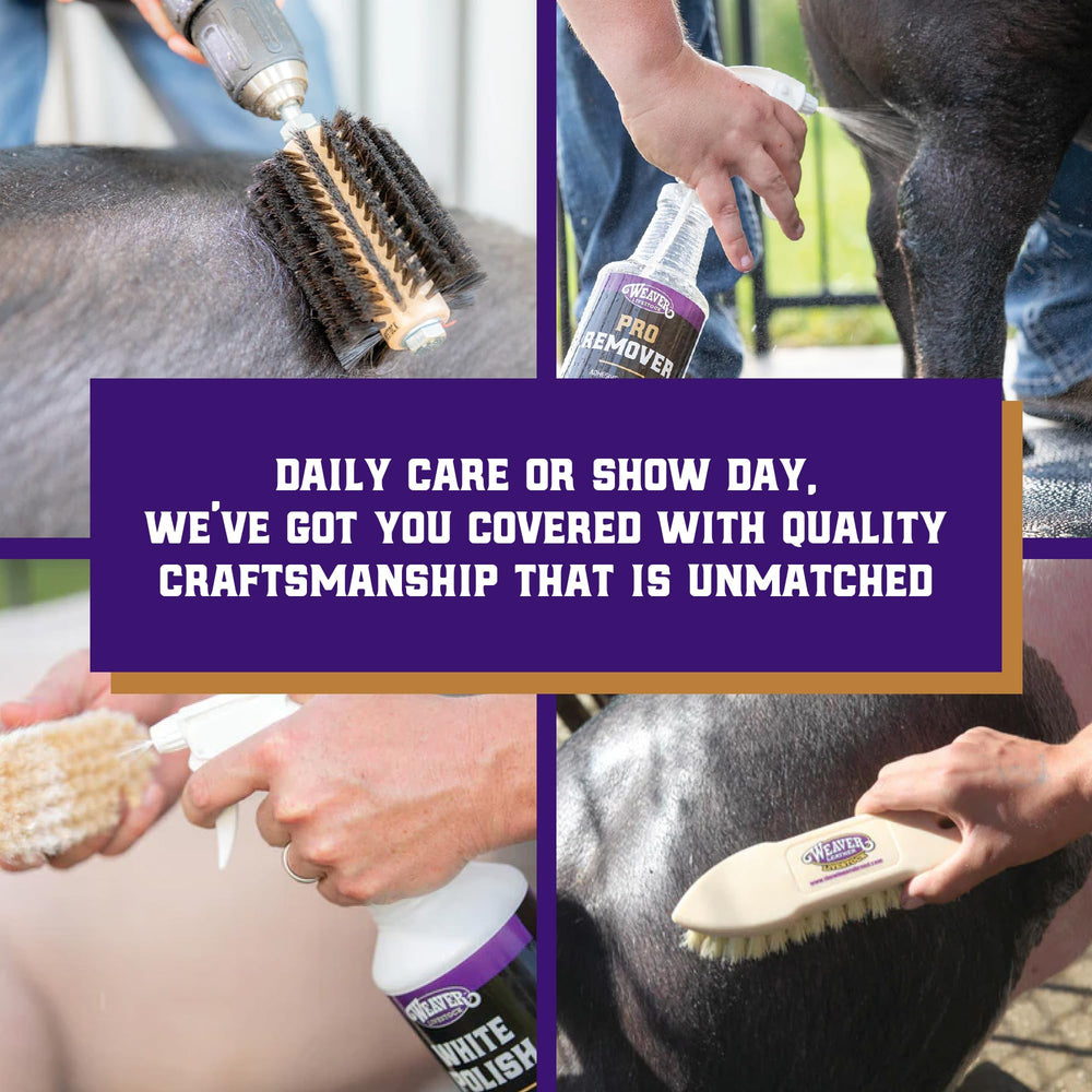 Weaver Livestock Whitening Shampoo being used to wash cattle hair and hide.