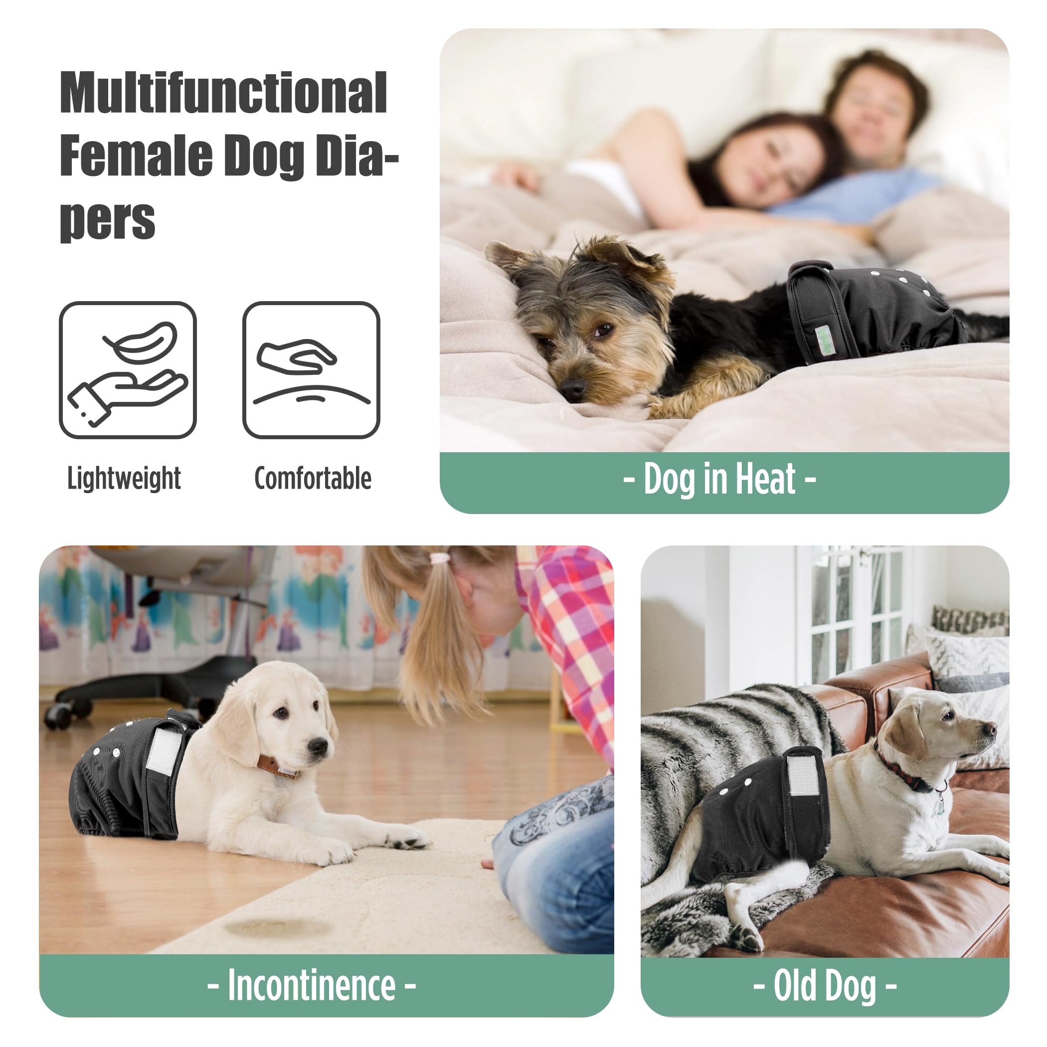 Wegreeco female dog diaper showing its outer layer.