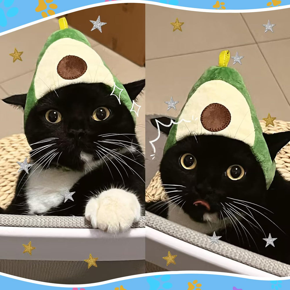 Weewooday cat hat in the pineapple design.