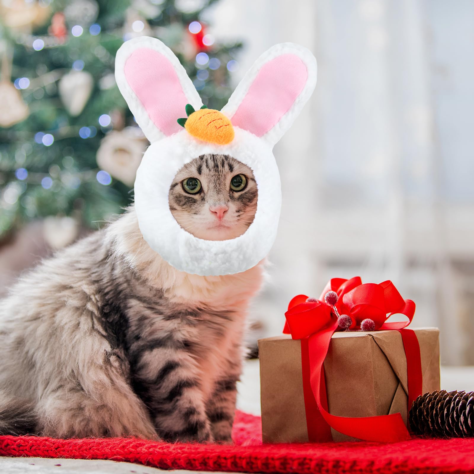 A cat wearing a Weewooday pet hat for a playful dress-up look.
