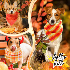 Weewooday dog bandana shown folded to illustrate its adjustable shape.