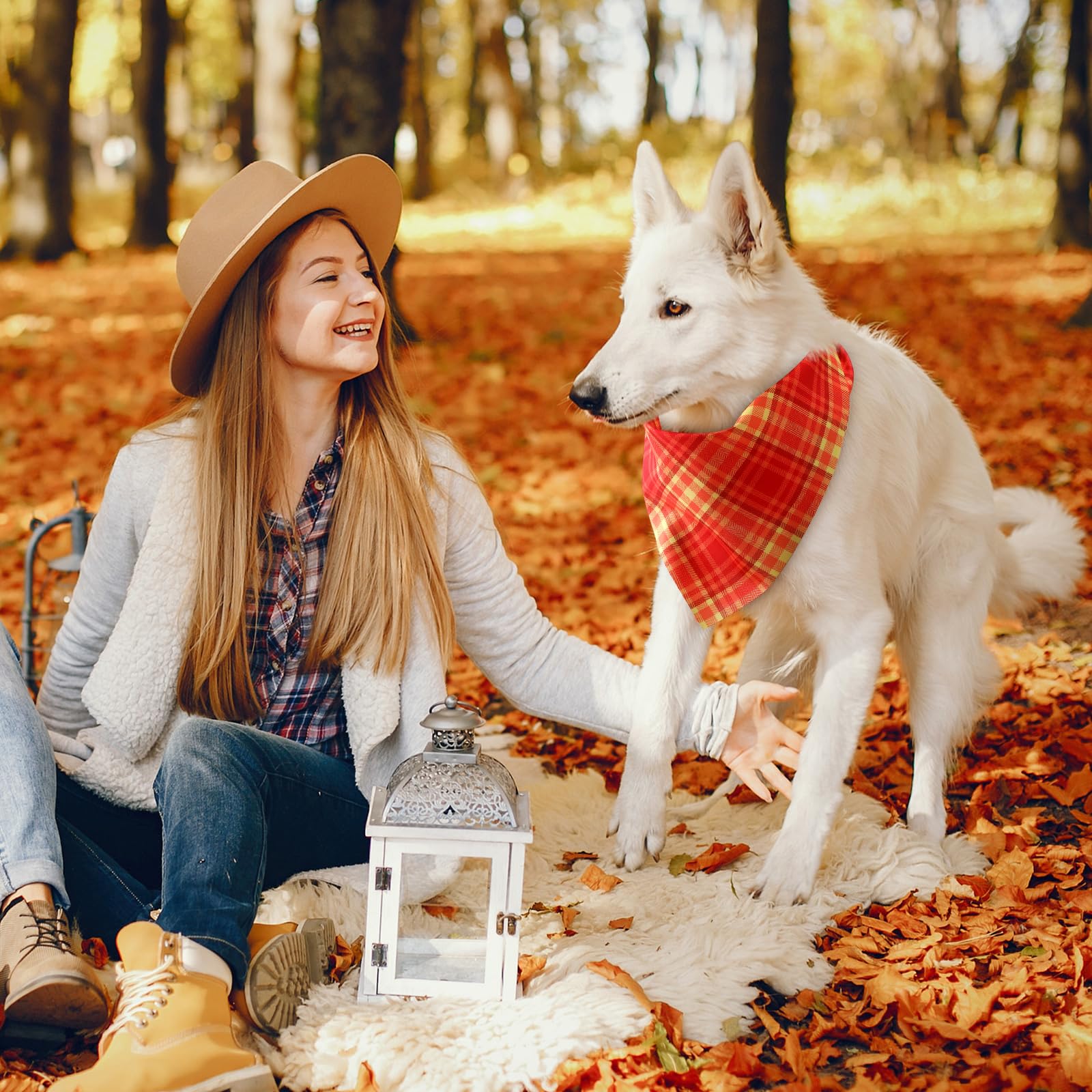Weewooday dog bandana shown in a full view of its triangular shape.