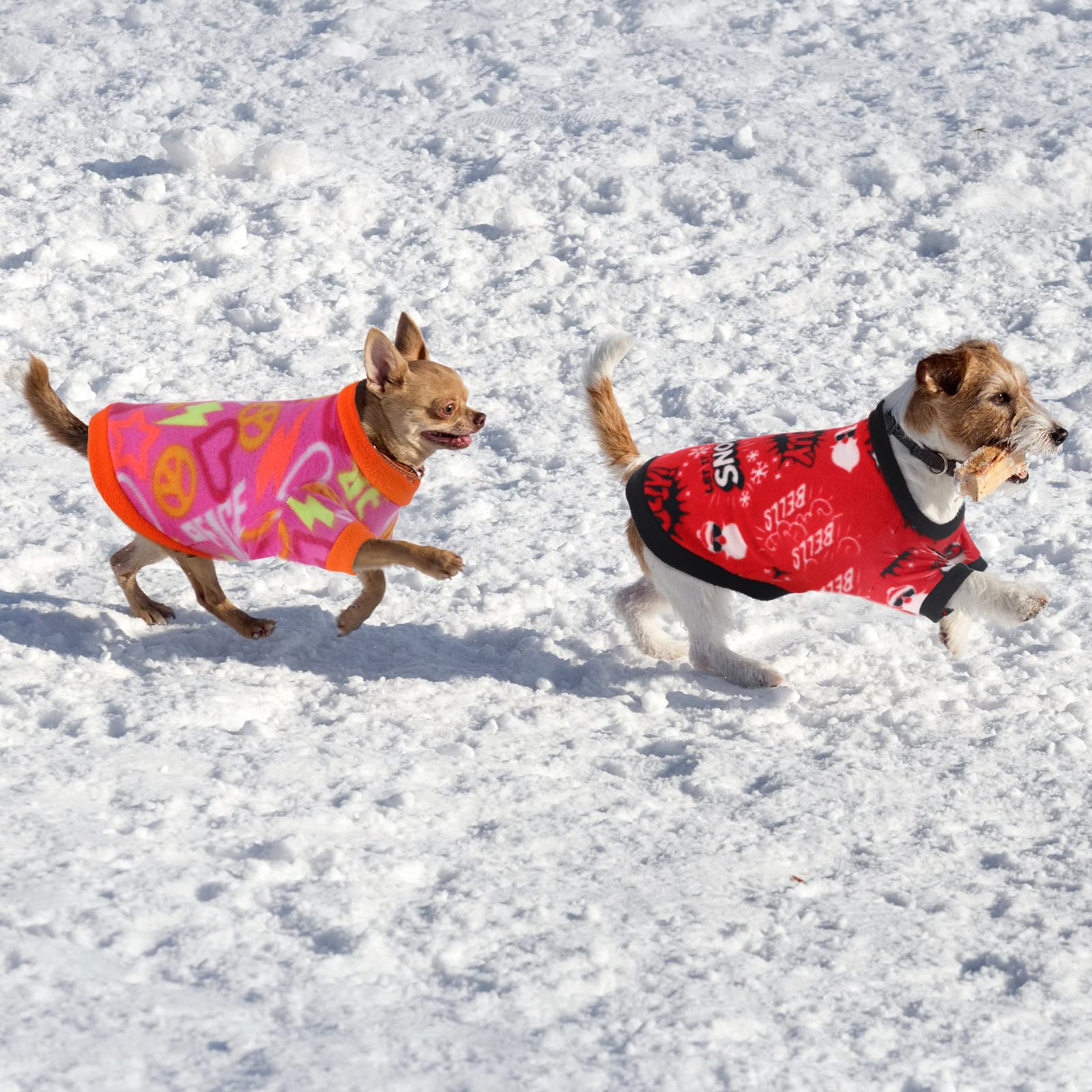 Weewooday dog sweater shown from an alternate angle.