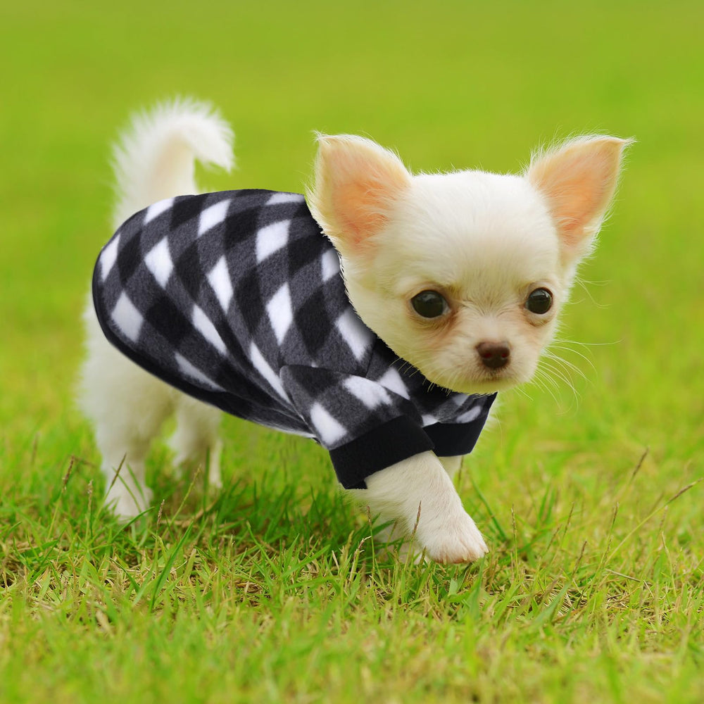 A cat wearing a Weewooday fleece sweater.