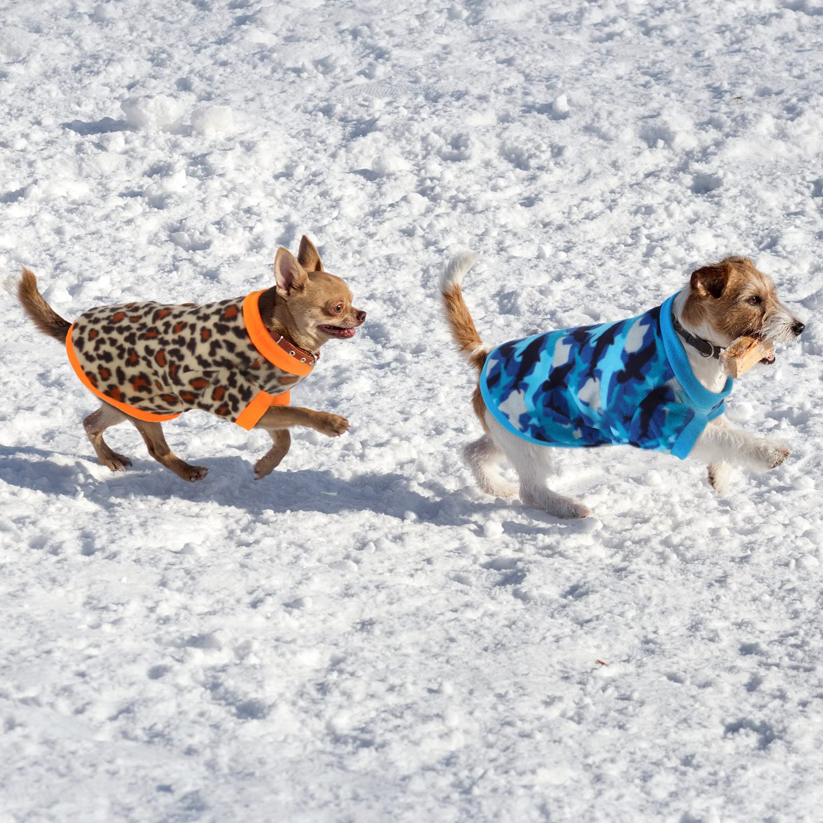 The back view of a patterned Weewooday dog sweater.