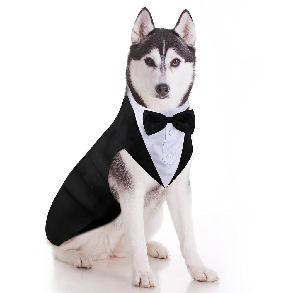 Weewooday dog tuxedo shown from the front with its bow tie.