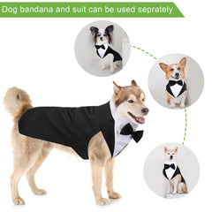 Weewooday dog tuxedo close-up showing its fine stitching.