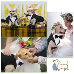 Weewooday dog tuxedo shown worn by a dressed-up dog.