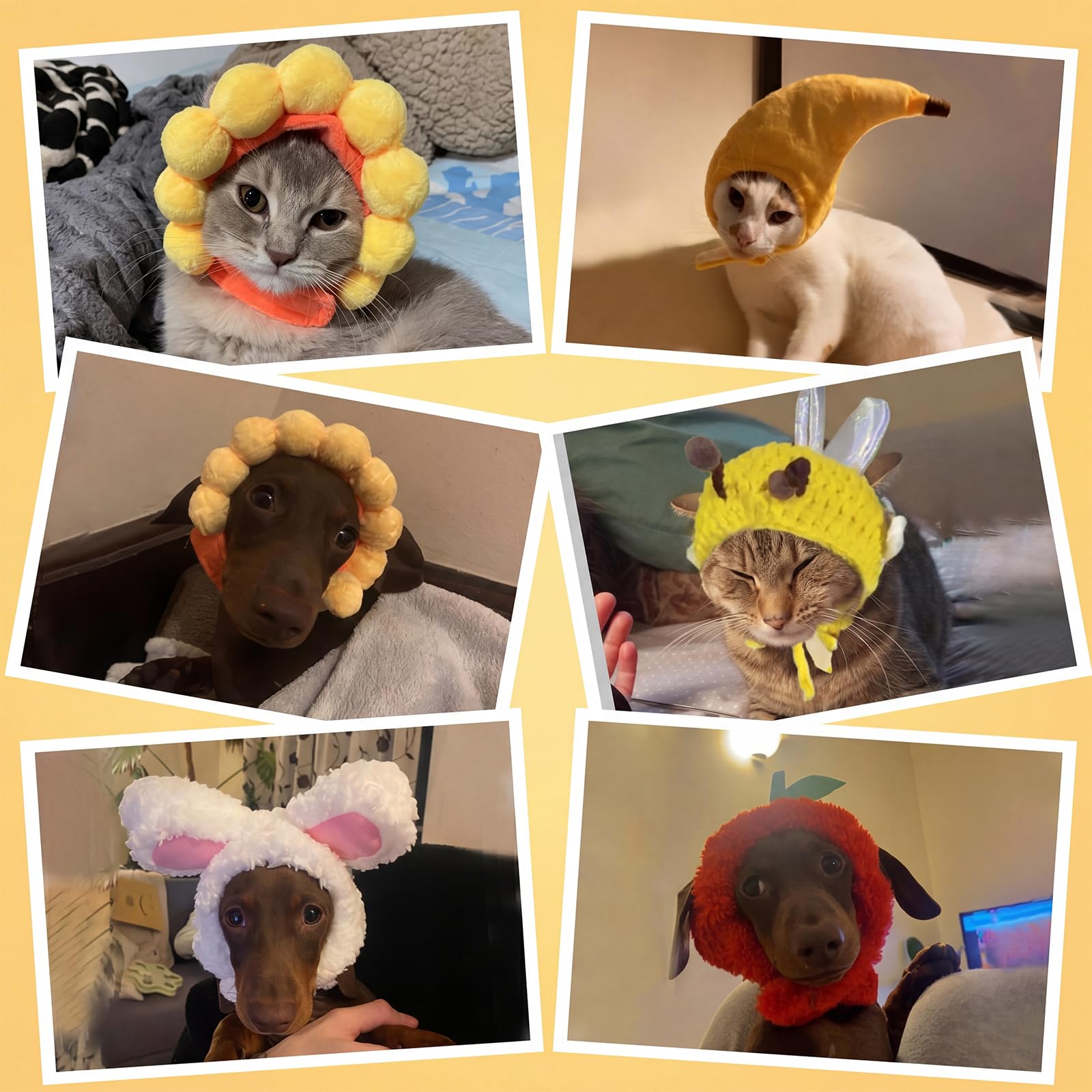 Weewooday pet hat showing its adjustable sticky strap.