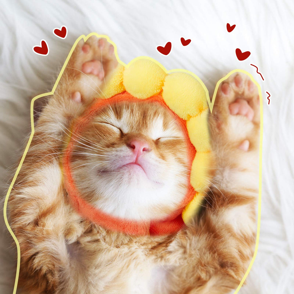 Weewooday pet hat featuring a fruit design for festive dress-up.