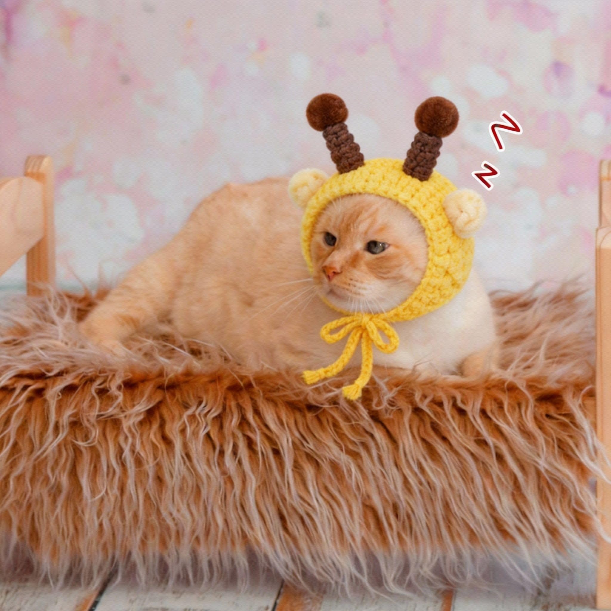 Weewooday pet hat with a pineapple design for playful pet photos.