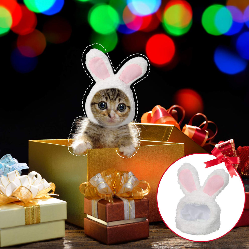 Weewooday pet hats styled for Halloween and Christmas costume photos.