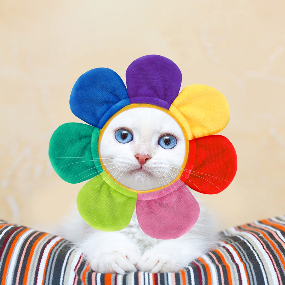 Weewooday pet hat with a star design.