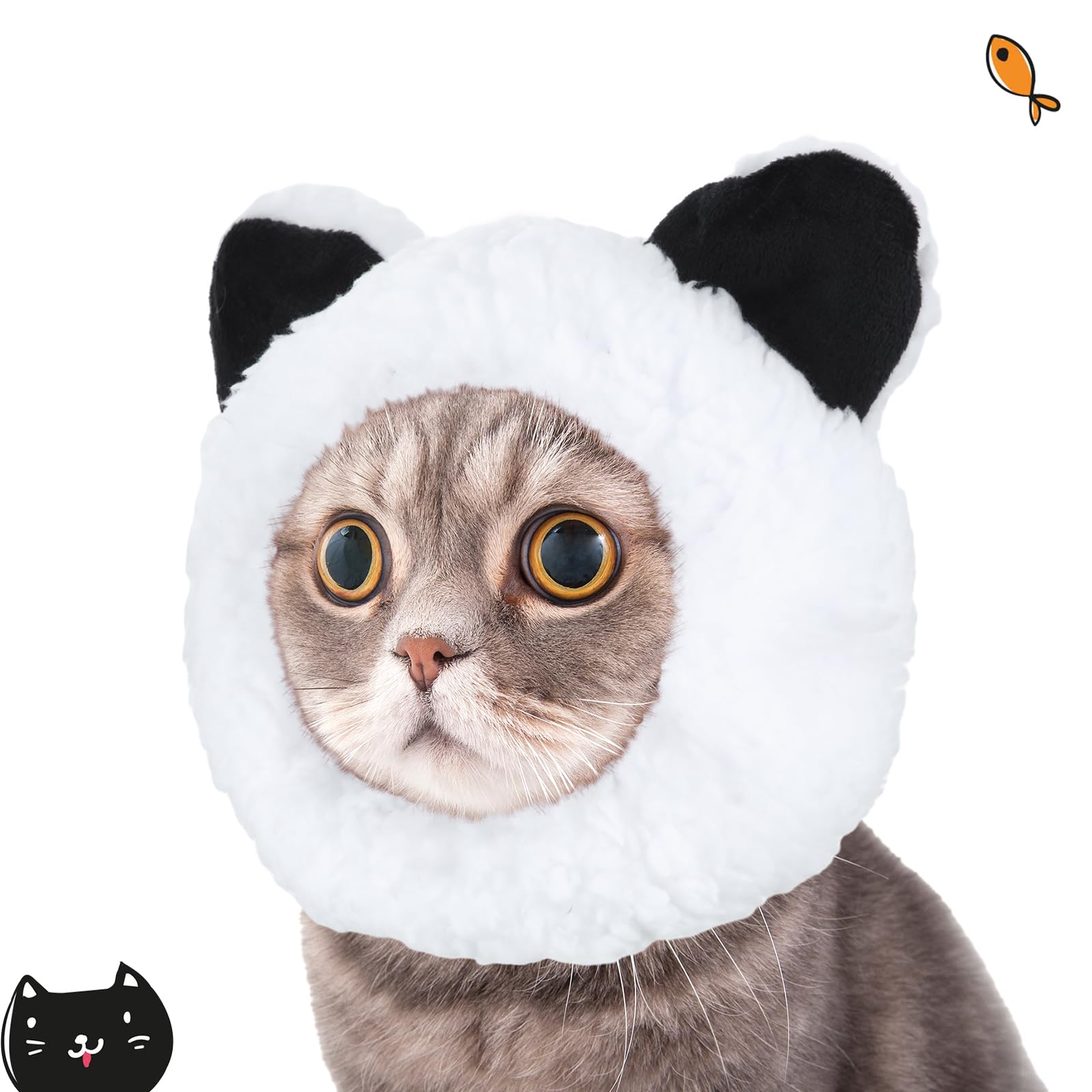 A small dog wearing a Weewooday pet hat for a party outfit.