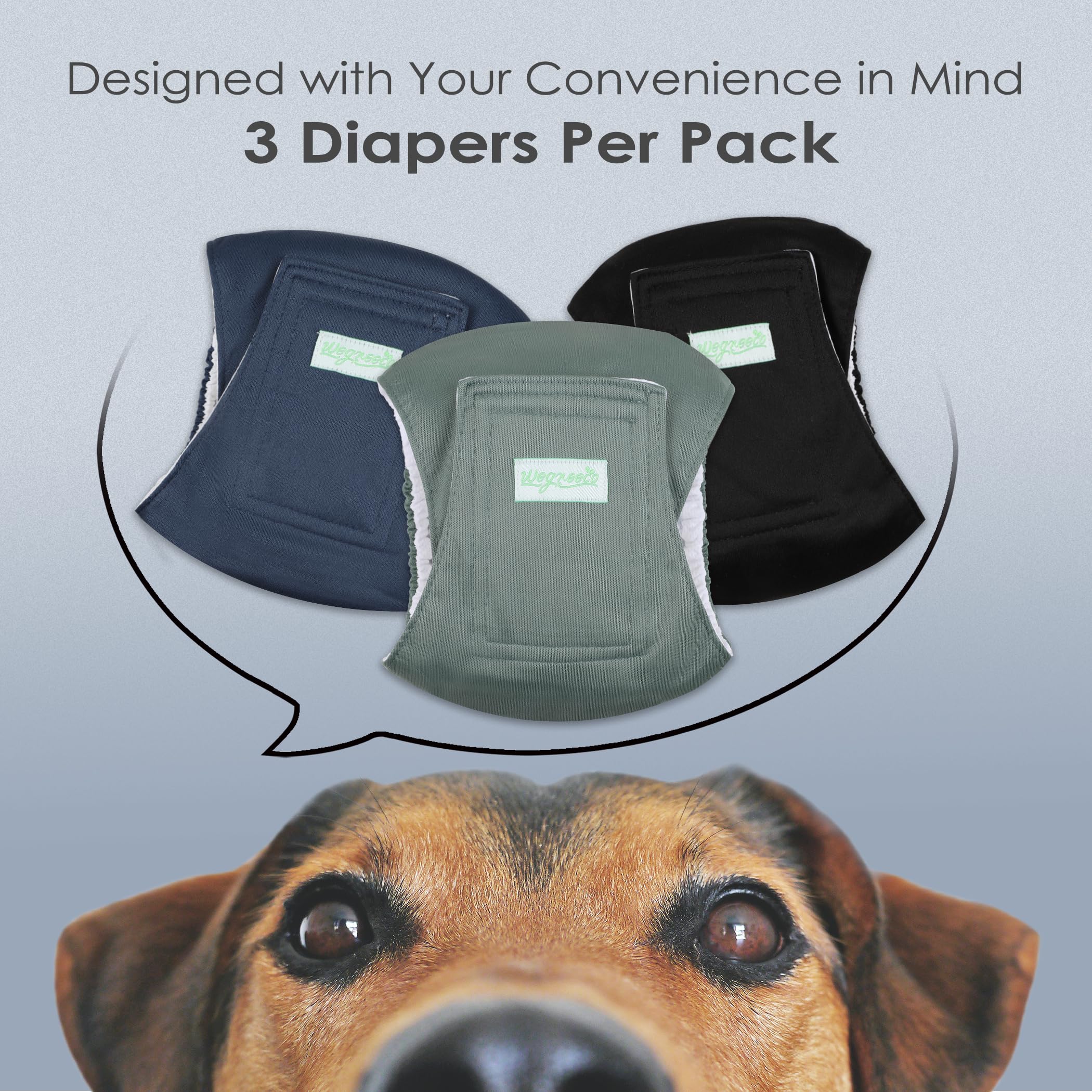 Wegreeco male dog belly band close-up highlighting the soft jersey inner layer.