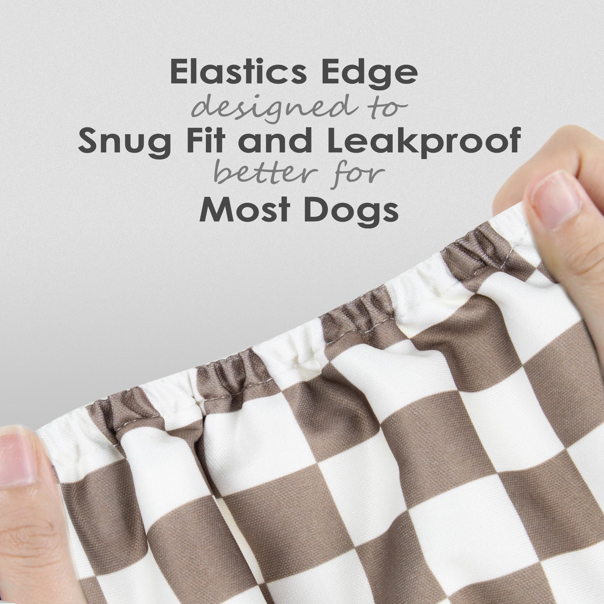 wegreeco washable male dog belly band shown being worn by a male dog.