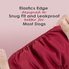 Wegreeco male dog belly band three-pack in Burgundy, Black and Jade.
