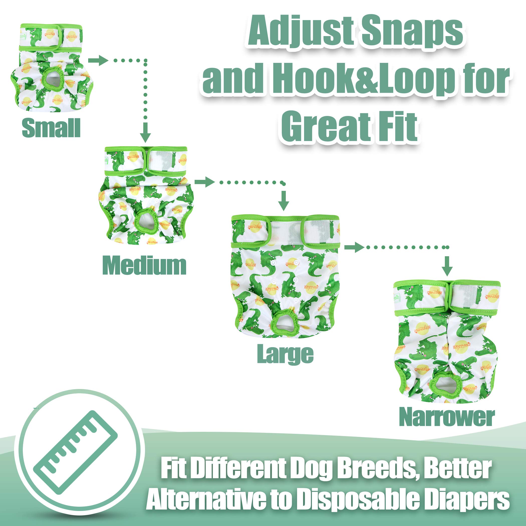wegreeco reusable dog diaper shown with its sewn-in absorbent pad.