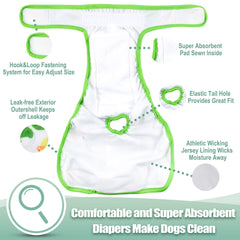 wegreeco reusable dog diaper wrap shown being worn by a female dog.