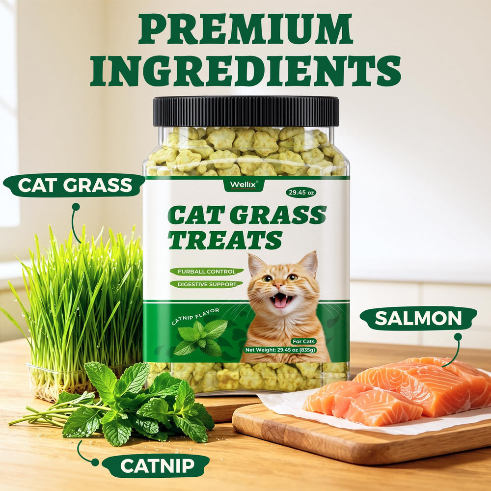 A close-up of the crunchy biscuits in Wellix cat grass treats.