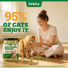 Wellix cat grass treats tin shown with its resealable lid.