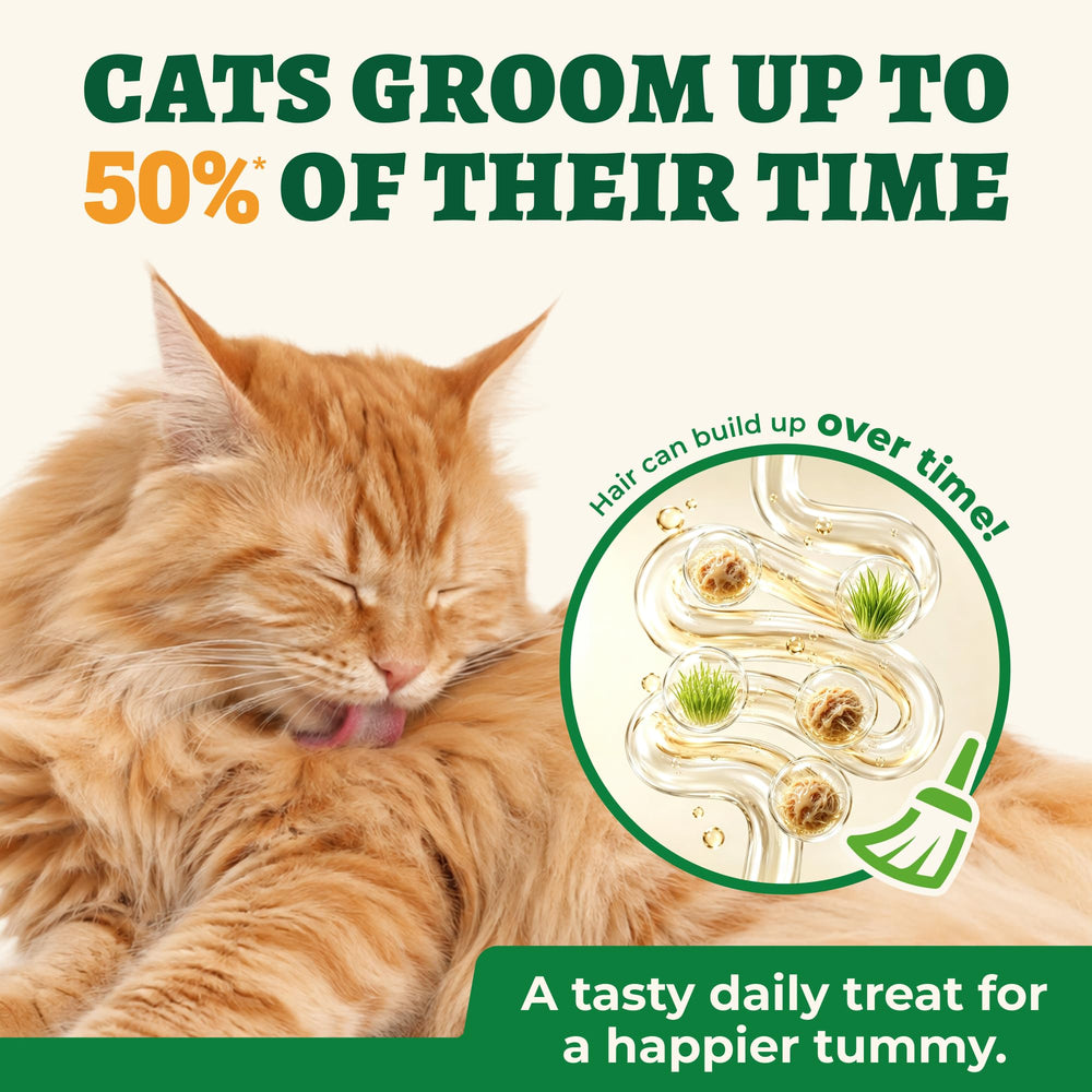 Wellix cat grass treats shown beside a portion of the biscuits.