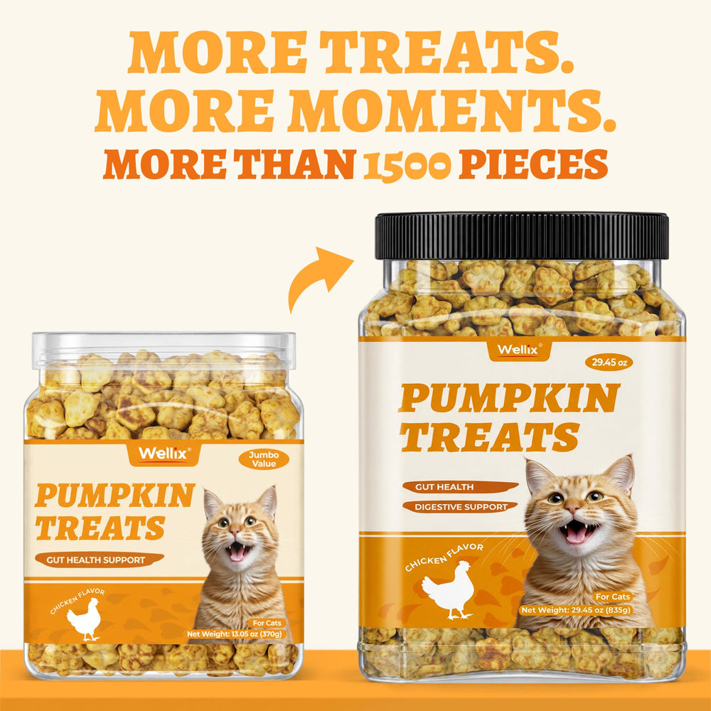 Wellix cat treats shown in their sealed can.