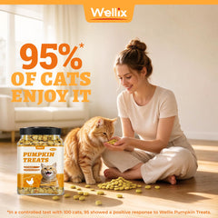Wellix pumpkin cat treats shown as crunchy individual pieces.