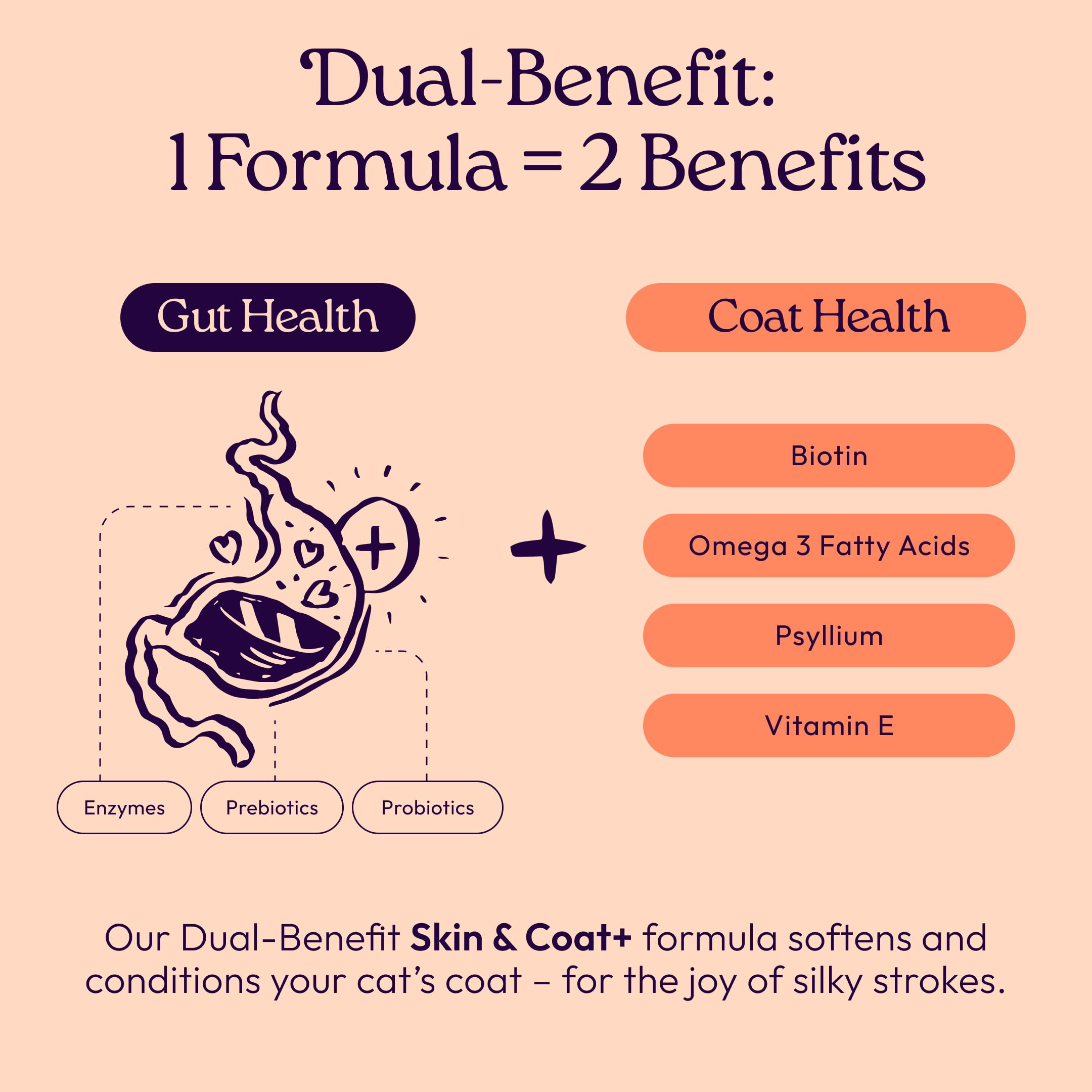 WellJoy Skin & Coat Cat Treat featuring real shredded chicken as its first ingredient.