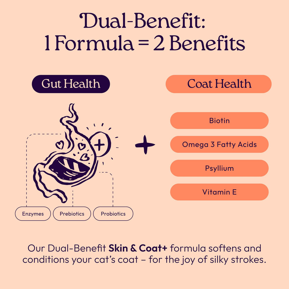 WellJoy Skin & Coat Cat Treat featuring real shredded chicken as its first ingredient.