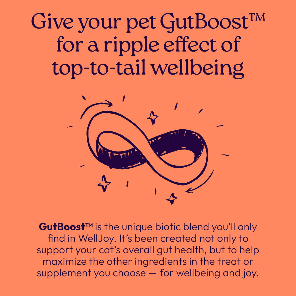 WellJoy Skin & Coat Cat Treat shown as a soft treat for cats.