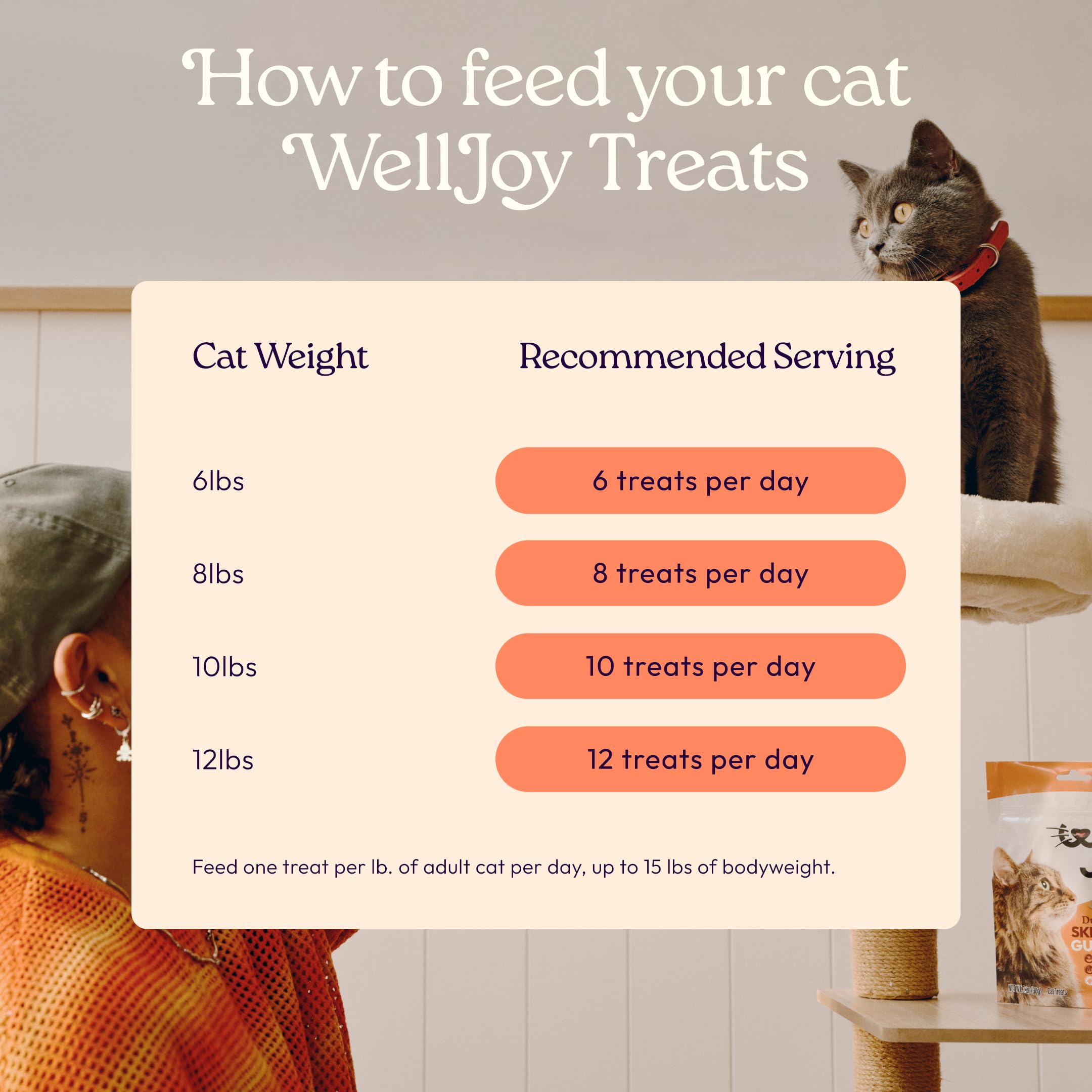 WellJoy Skin & Coat Cat Treat package shown from the back.