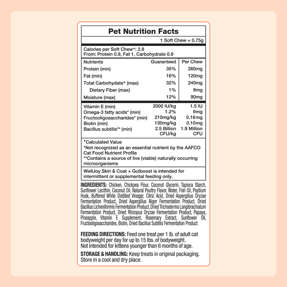 WellJoy Skin & Coat Cat Treat pouch highlighting its resealable format.
