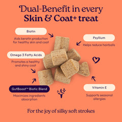 WellJoy Skin & Coat Cat Treat soft chews shown close up.