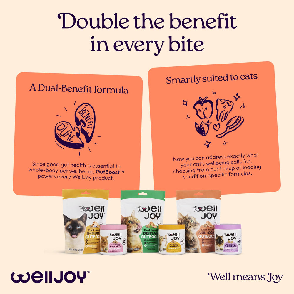 WellJoy Skin & Coat Cat Treat pouch and 120-count pack shown together.