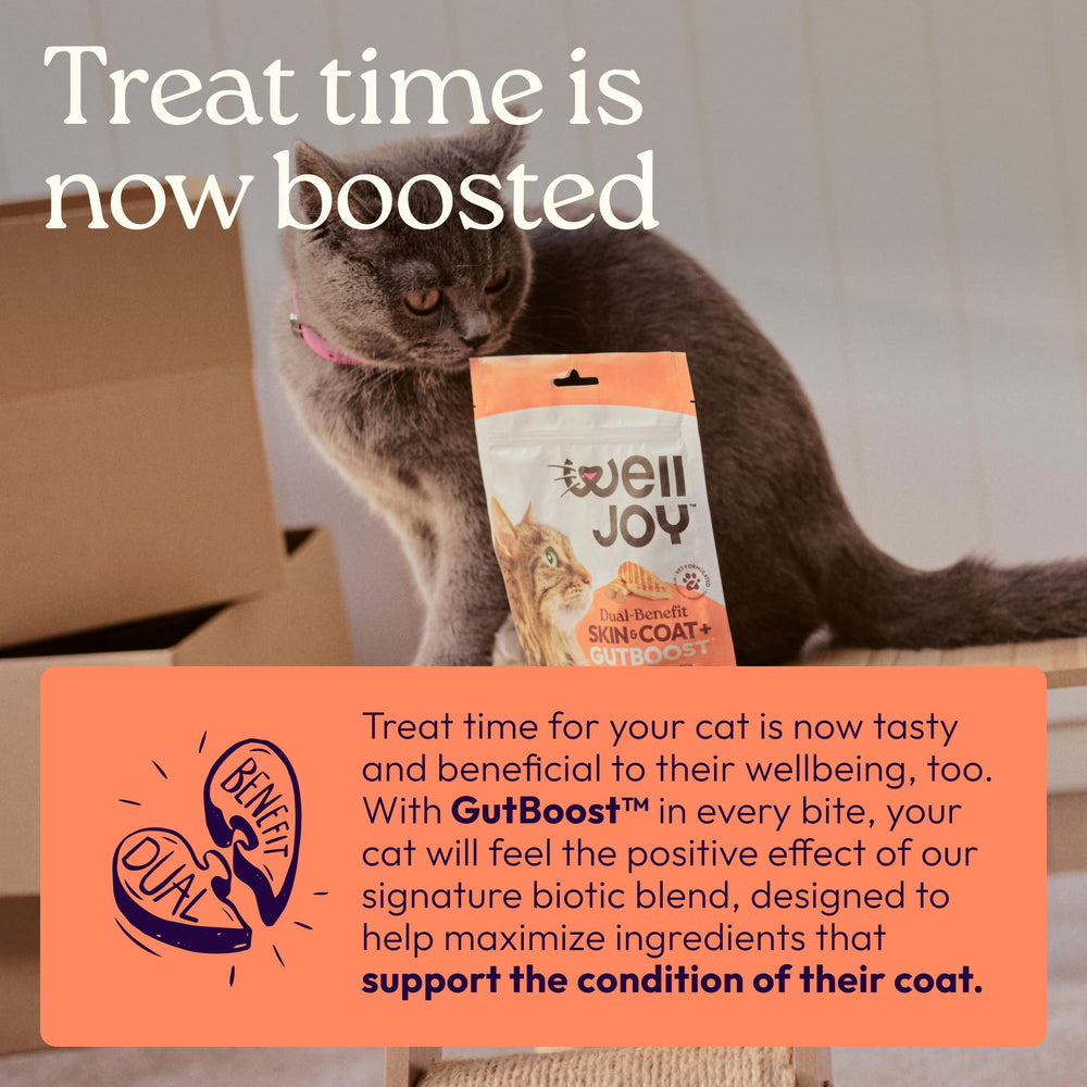 WellJoy Skin & Coat Cat Treat formula details shown on the package.