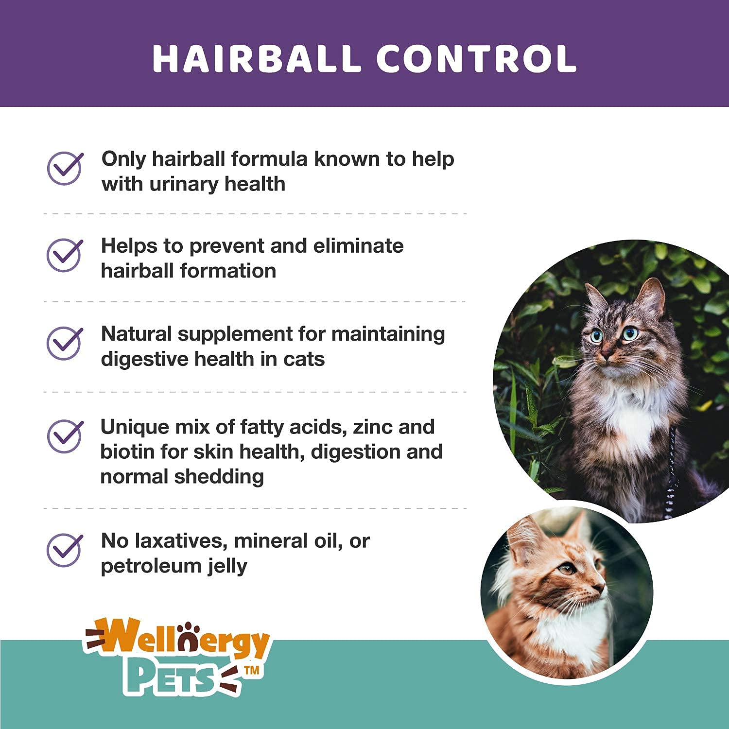 Wellnergy Pets cat hairball control chews shown as a cat enjoys a chew.
