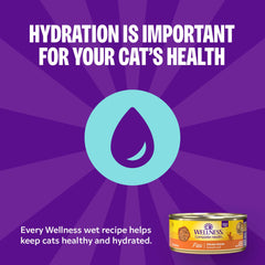 Wellness Complete Health Gravies adult cat food with salmon pieces and thick gravy shown close up.