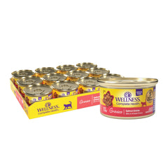 Wellness Complete Health Gravies adult cat food pack showing the salmon entrée recipe on the front.