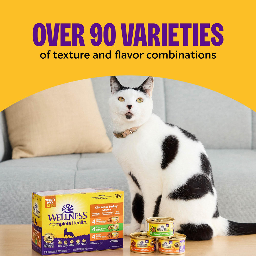 Wellness Complete Health Gravies adult cat food package shown from the side.