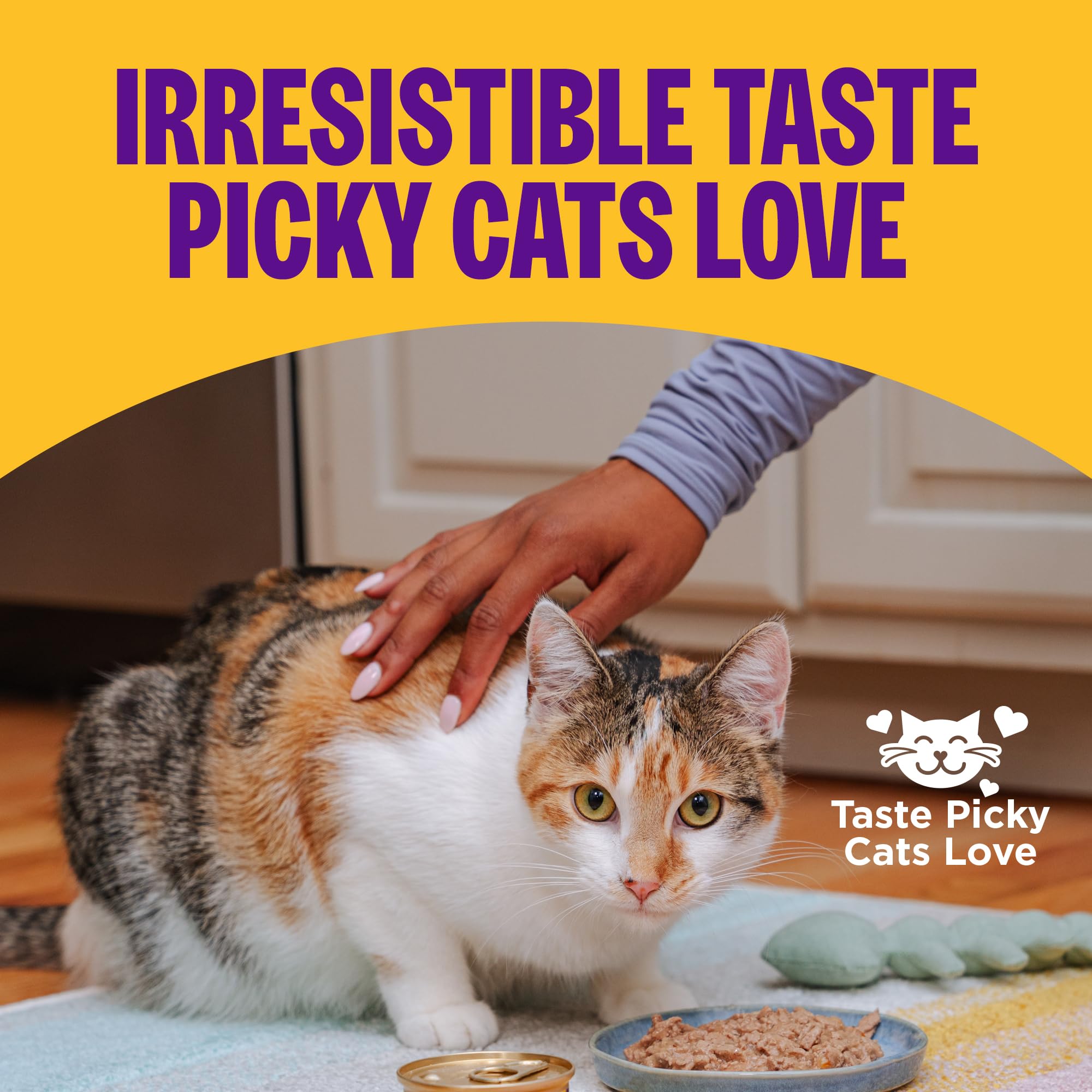 Wellness Complete Health Gravies adult cat food salmon entrée served in a feeding dish.