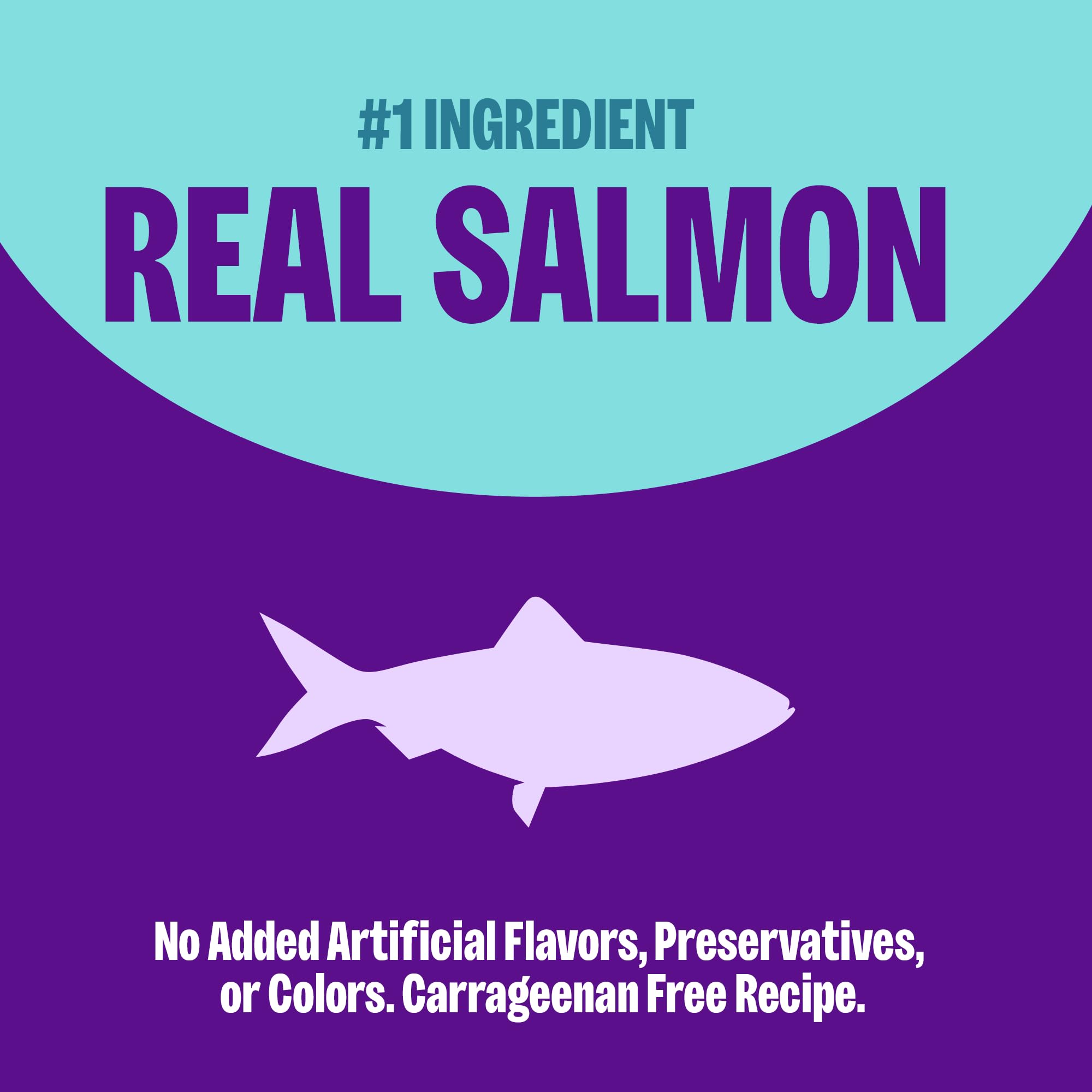 Wellness Complete Health Gravies adult cat food pack showing the twelve salmon recipe cans.