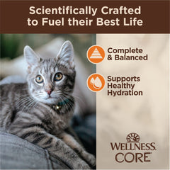 Wellness CORE Tiny Tasters wet cat food shown in a close-up of its minced texture.
