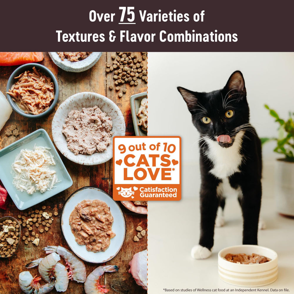 Wellness CORE Tiny Tasters cat food shown close up to highlight its smooth pâté texture.