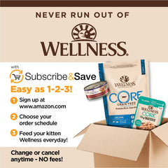 Wellness CORE Tiny Tasters wet cat food shown with its pouch and multipack packaging.