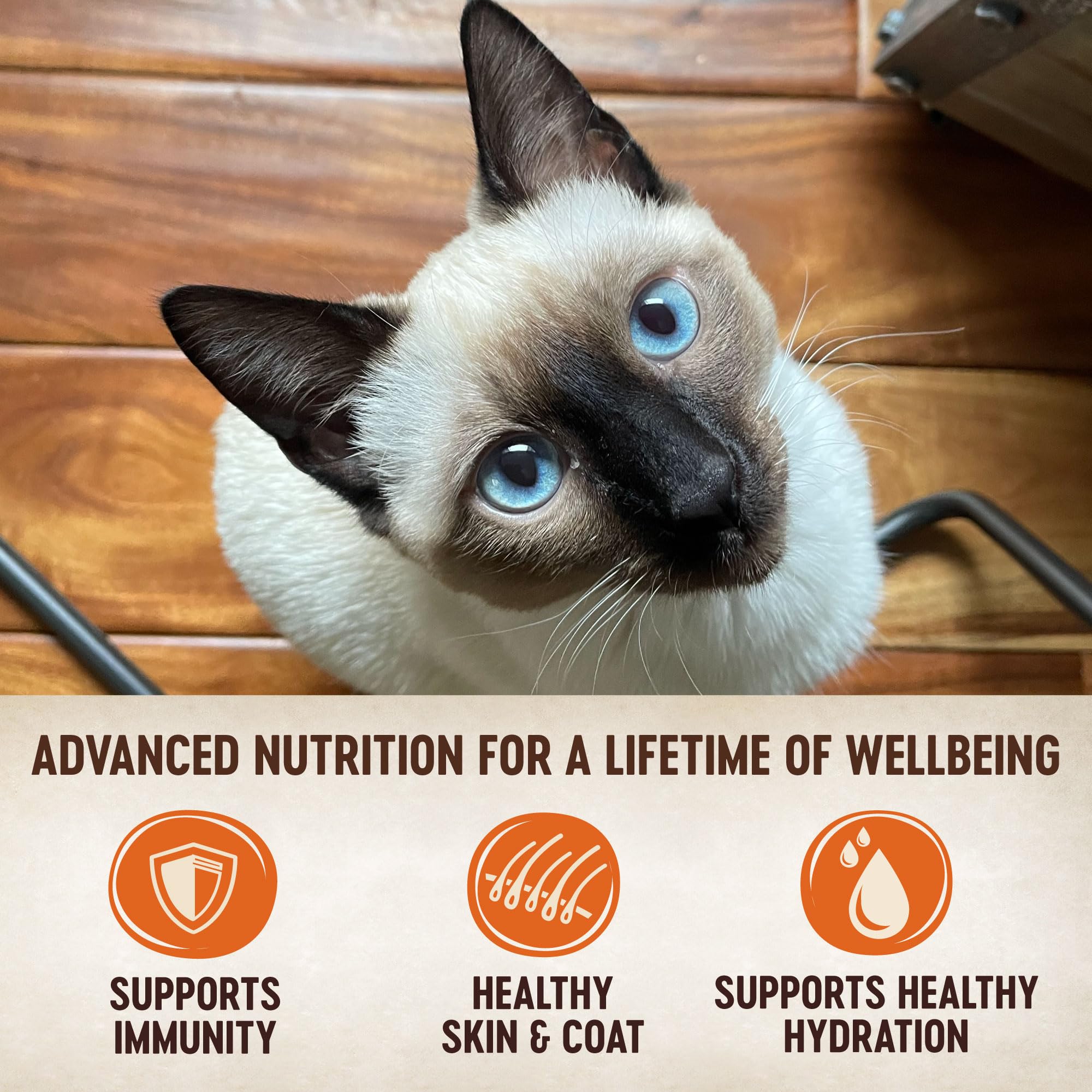 Wellness CORE Tiny Tasters cat food pouch opened for serving.